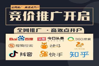 行业标杆：SEM推广代运营成功案例